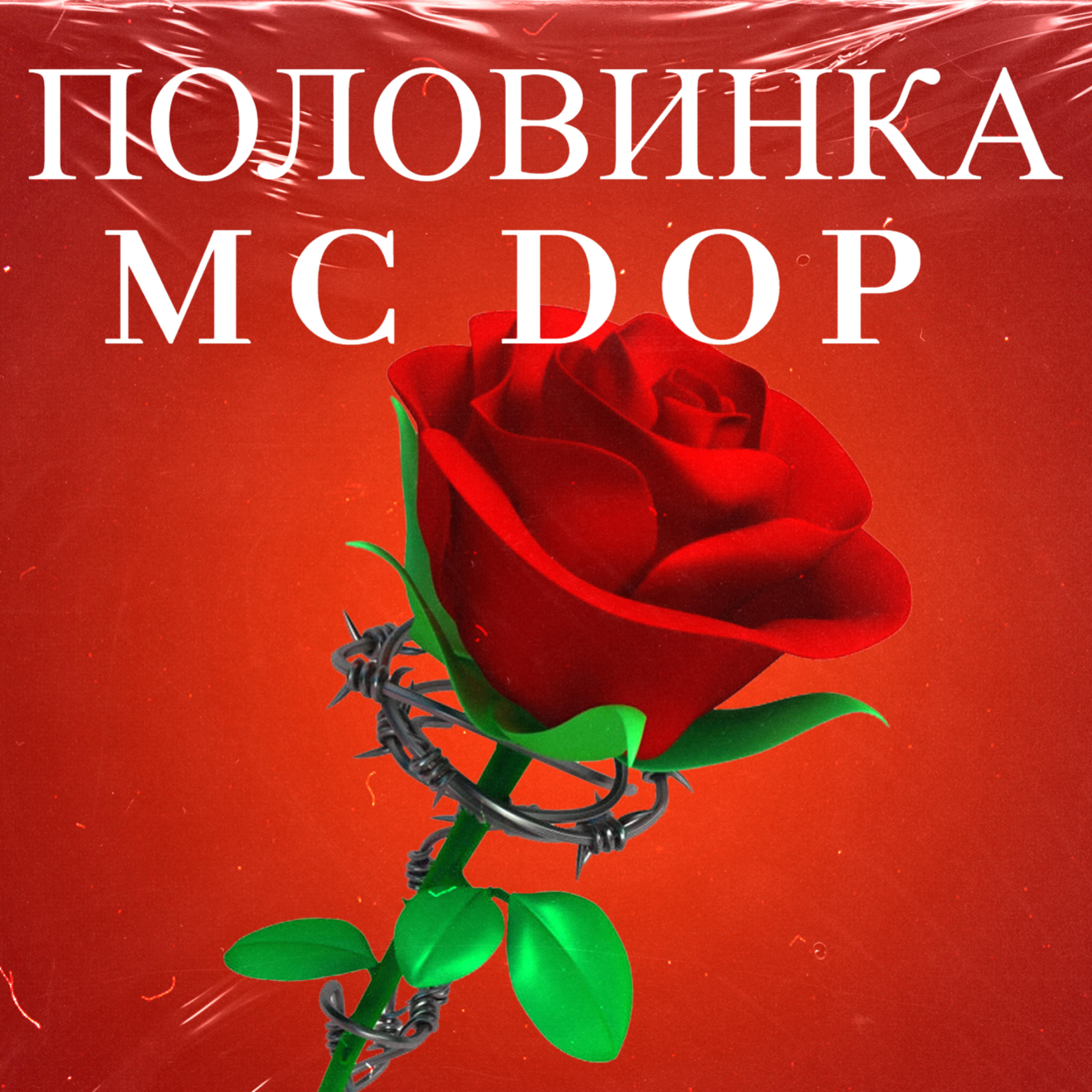 Постер альбома Половинка