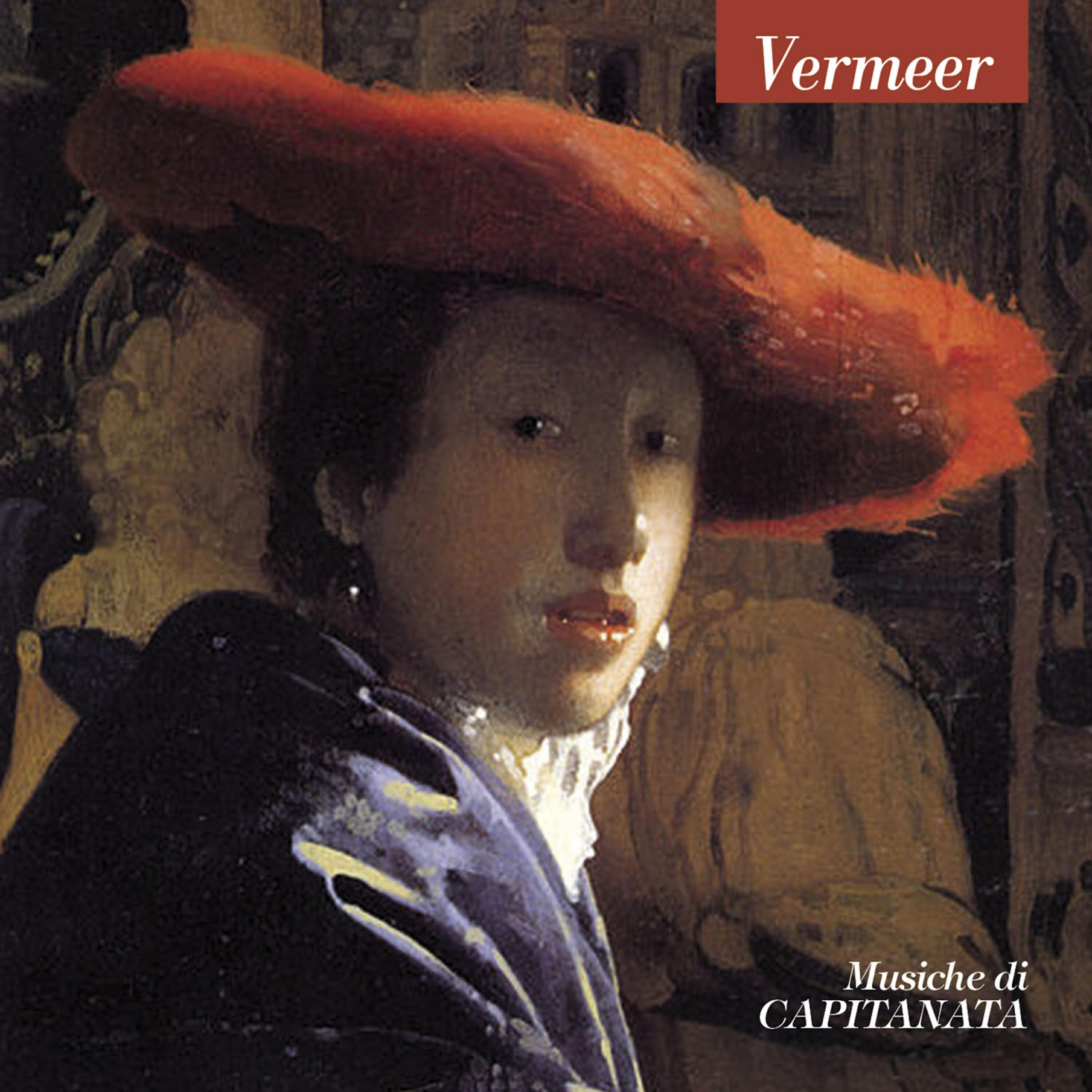 Релиз Vermeer