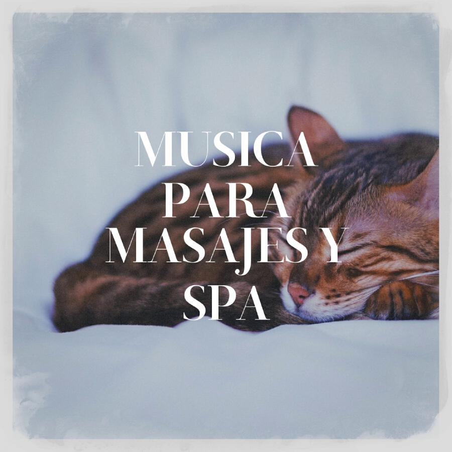 Релиз Música para Masajes y Spa