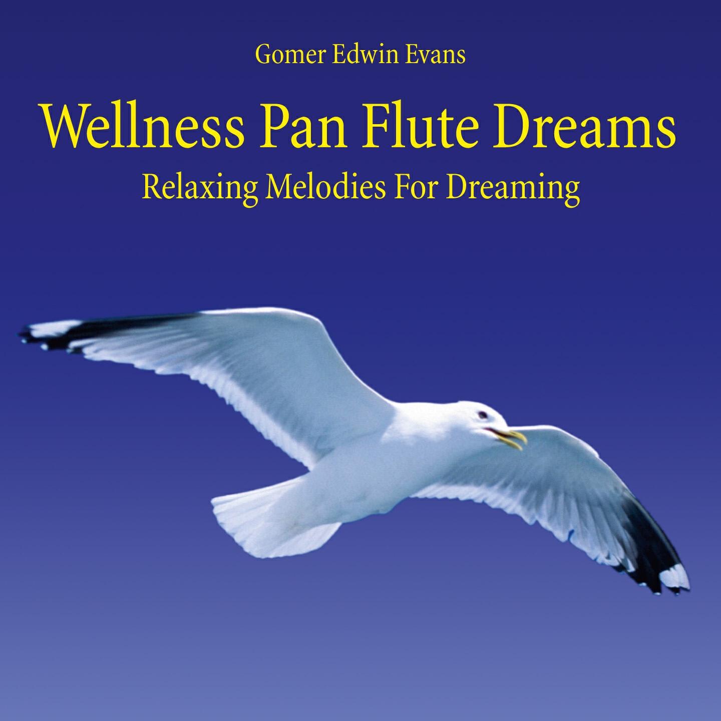 Релиз Wellness Pan Flute Dreams: Relaxing Melodies for Dreaming