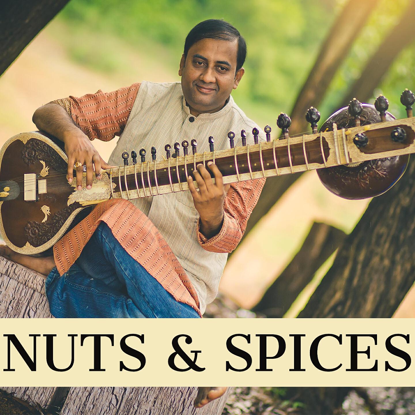 Релиз Nuts and Spices - Indian Classical Fusion