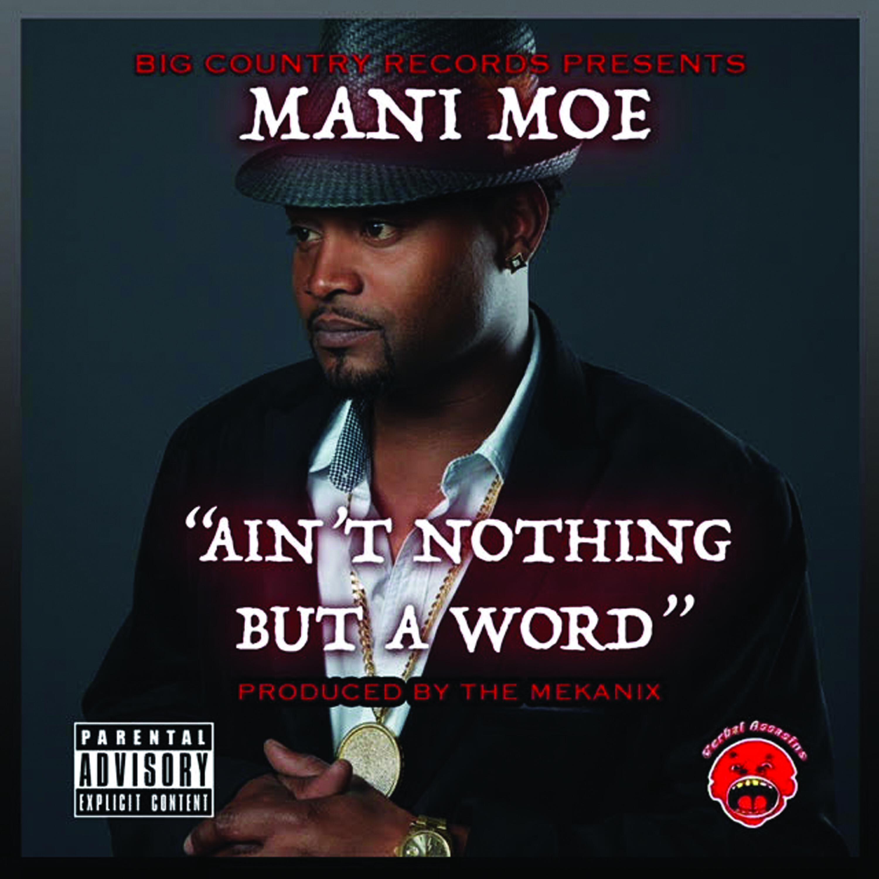 Релиз Ain't Nothing but a Word