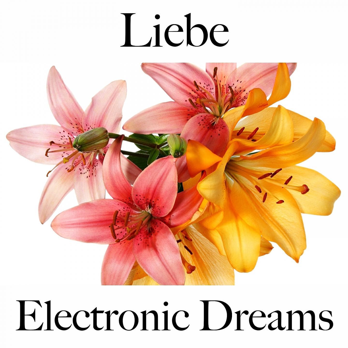 Релиз Liebe: Electronic Dreams - Die Beste Musik Für Die Zeit Zu Zweit
