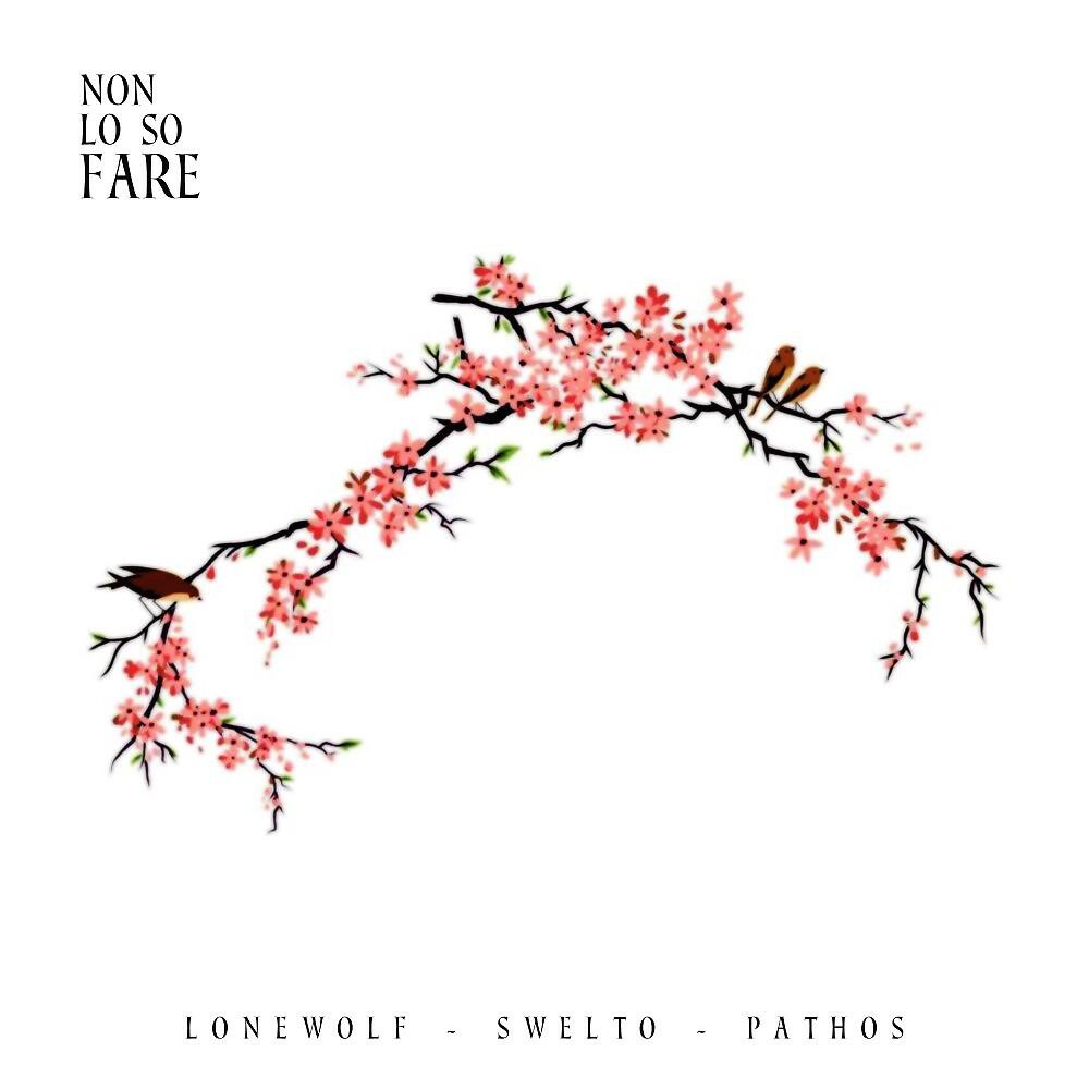 Релиз Non lo so fare