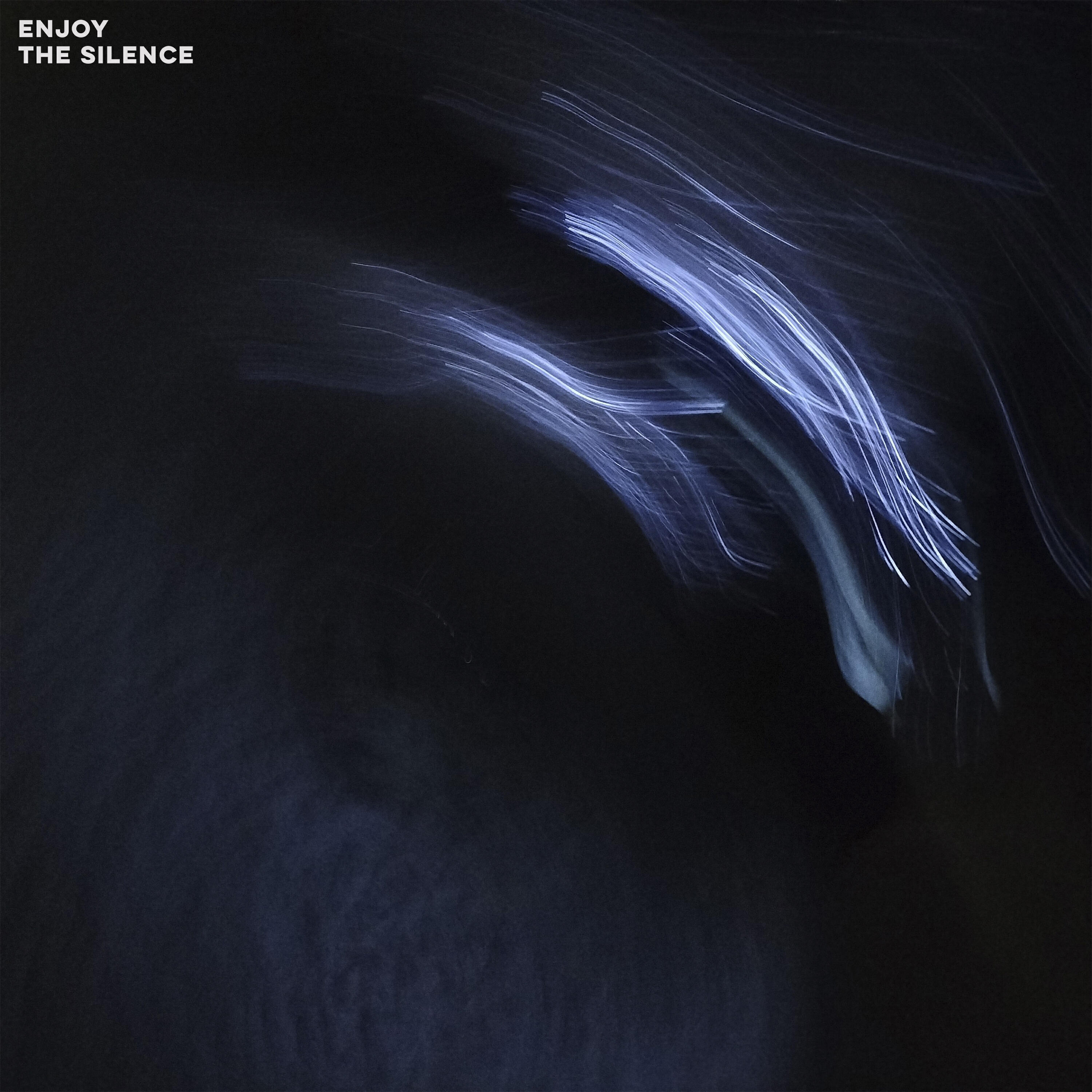 Релиз Enjoy The Silence