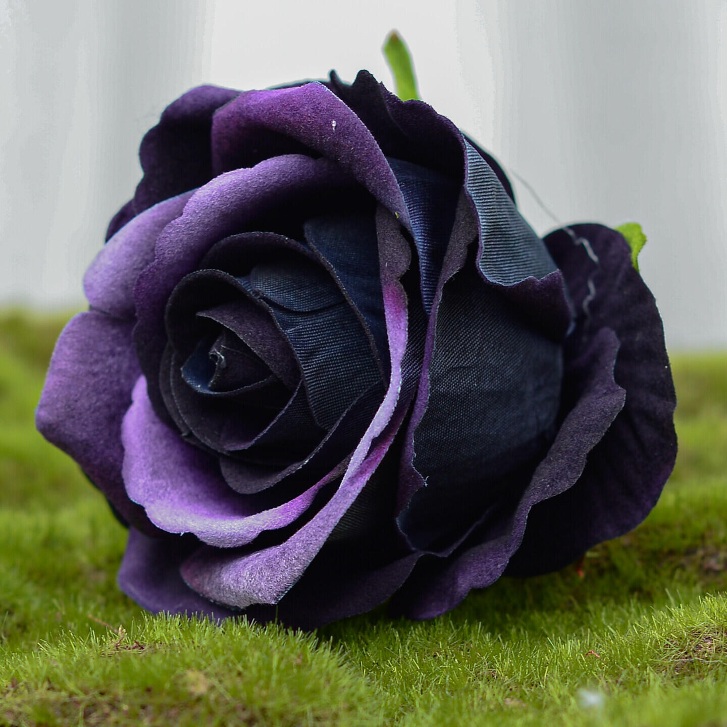Релиз Diamond Rose