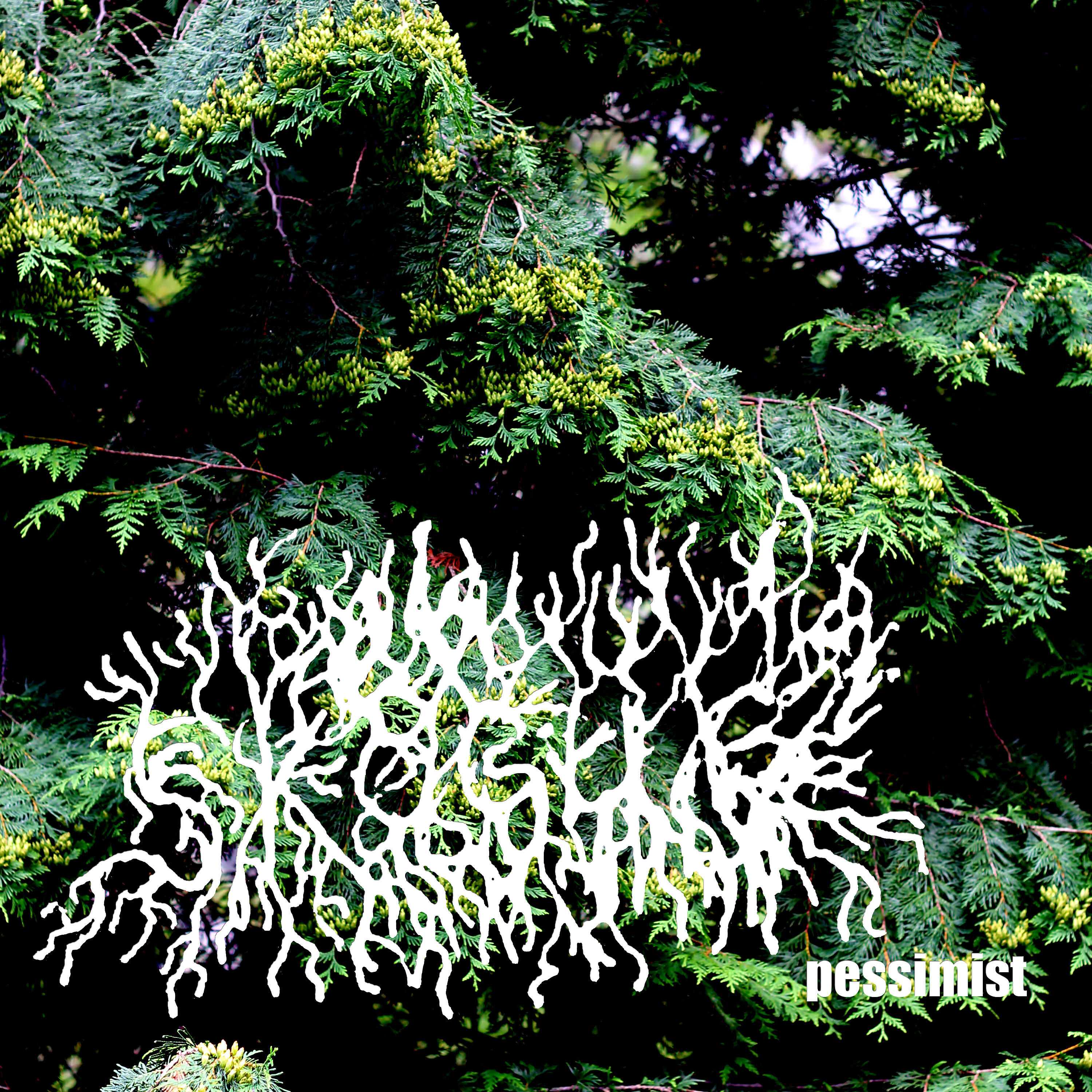 Релиз Pessimist