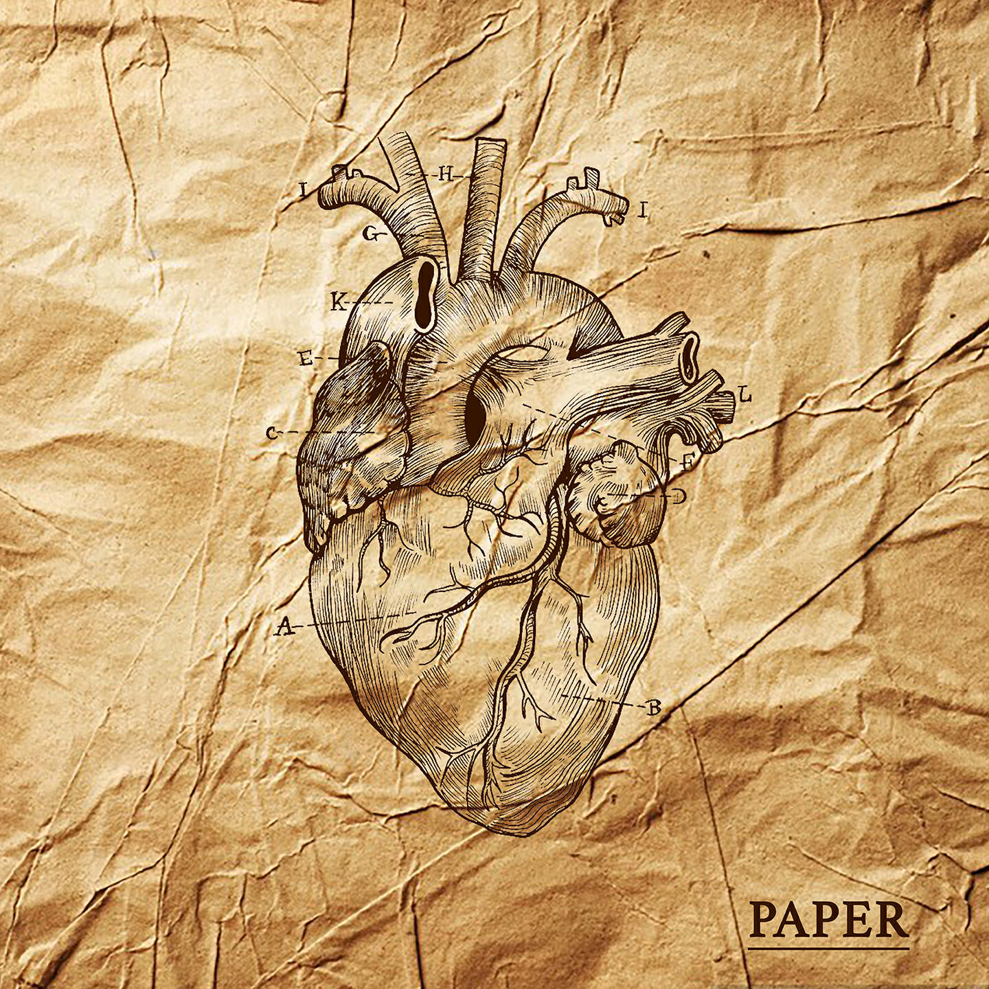 Релиз L'Anatomia del Cuore
