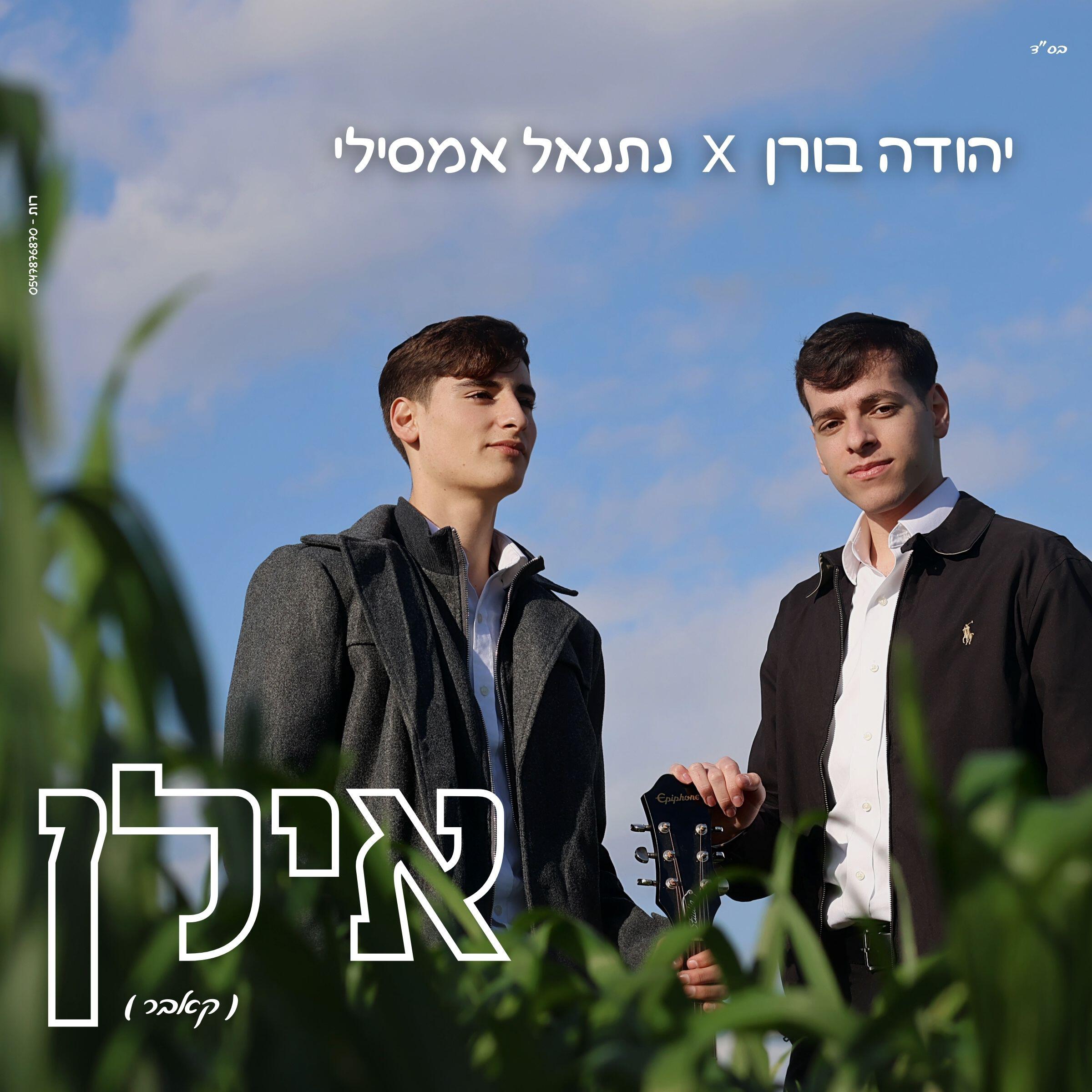 Трек אילן