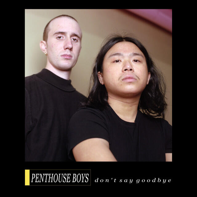 Релиз Don't Say Goodbye