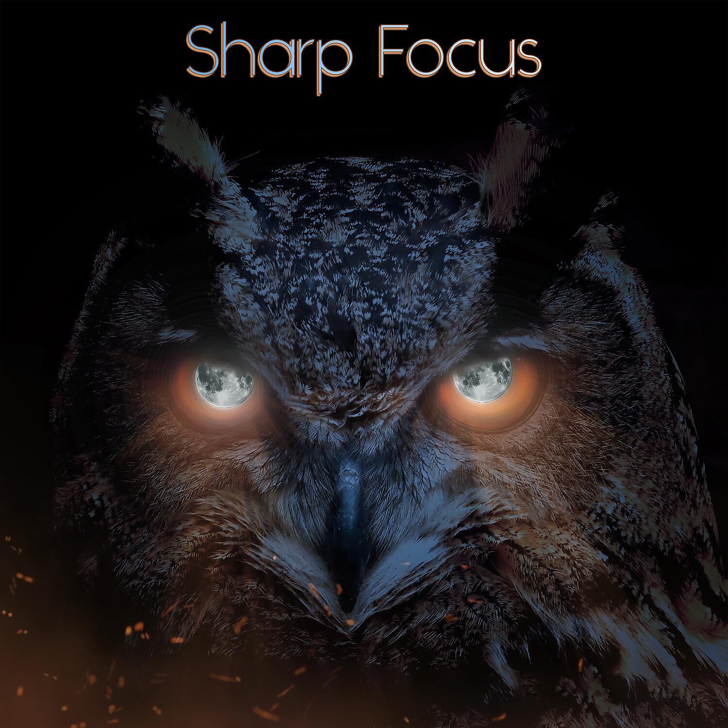 Релиз Sharp Focus