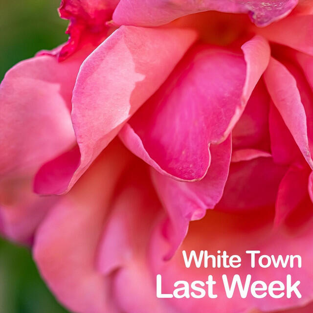 Релиз Last Week