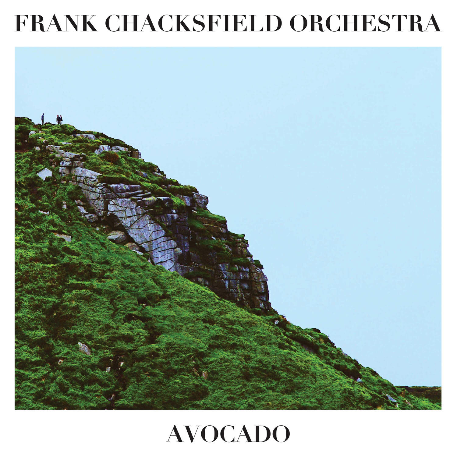 Релиз Avocado