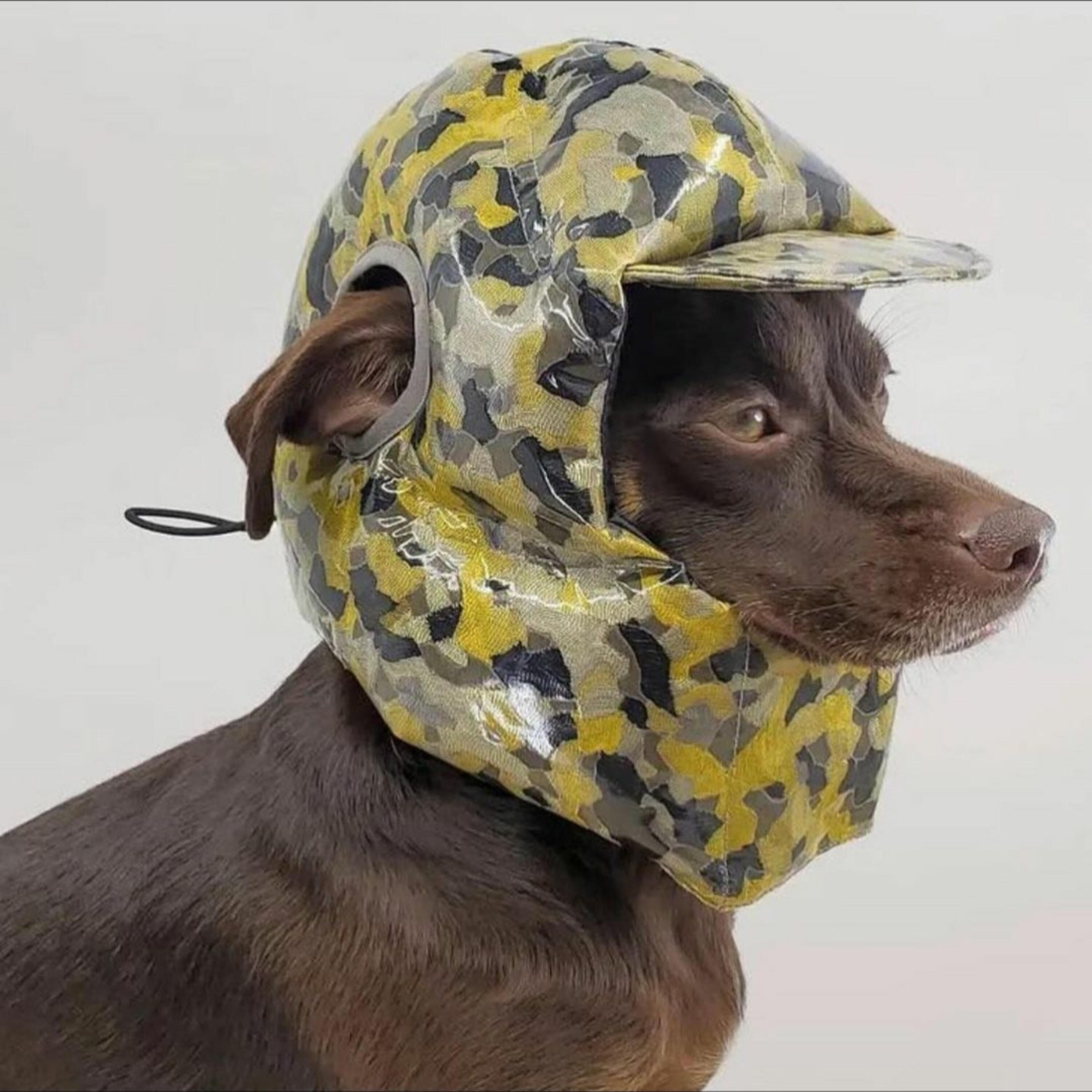 Релиз Woooh Juh.