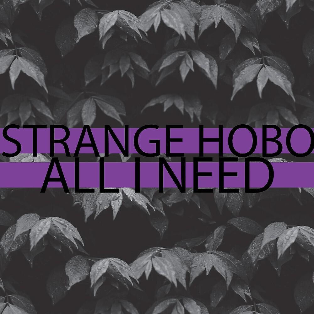 strange hobo
