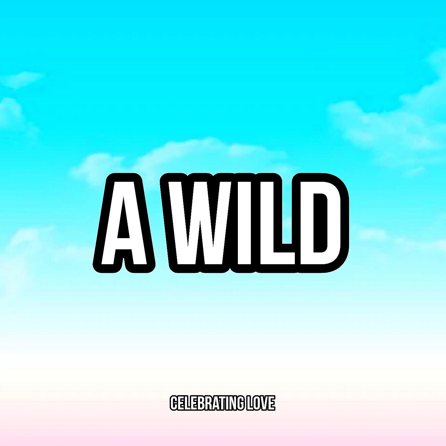 Релиз A Wild