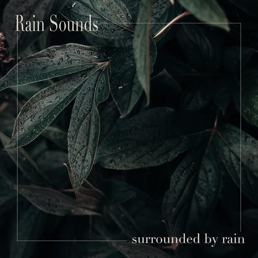 Релиз Surrounded by Rain