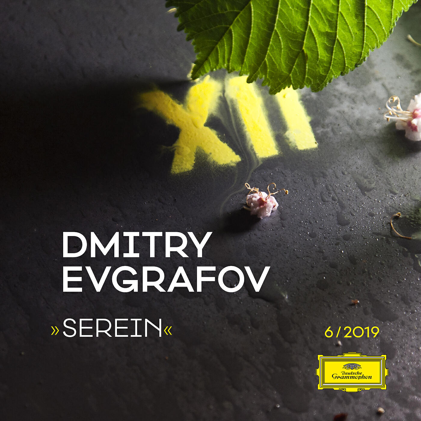 Релиз Serein