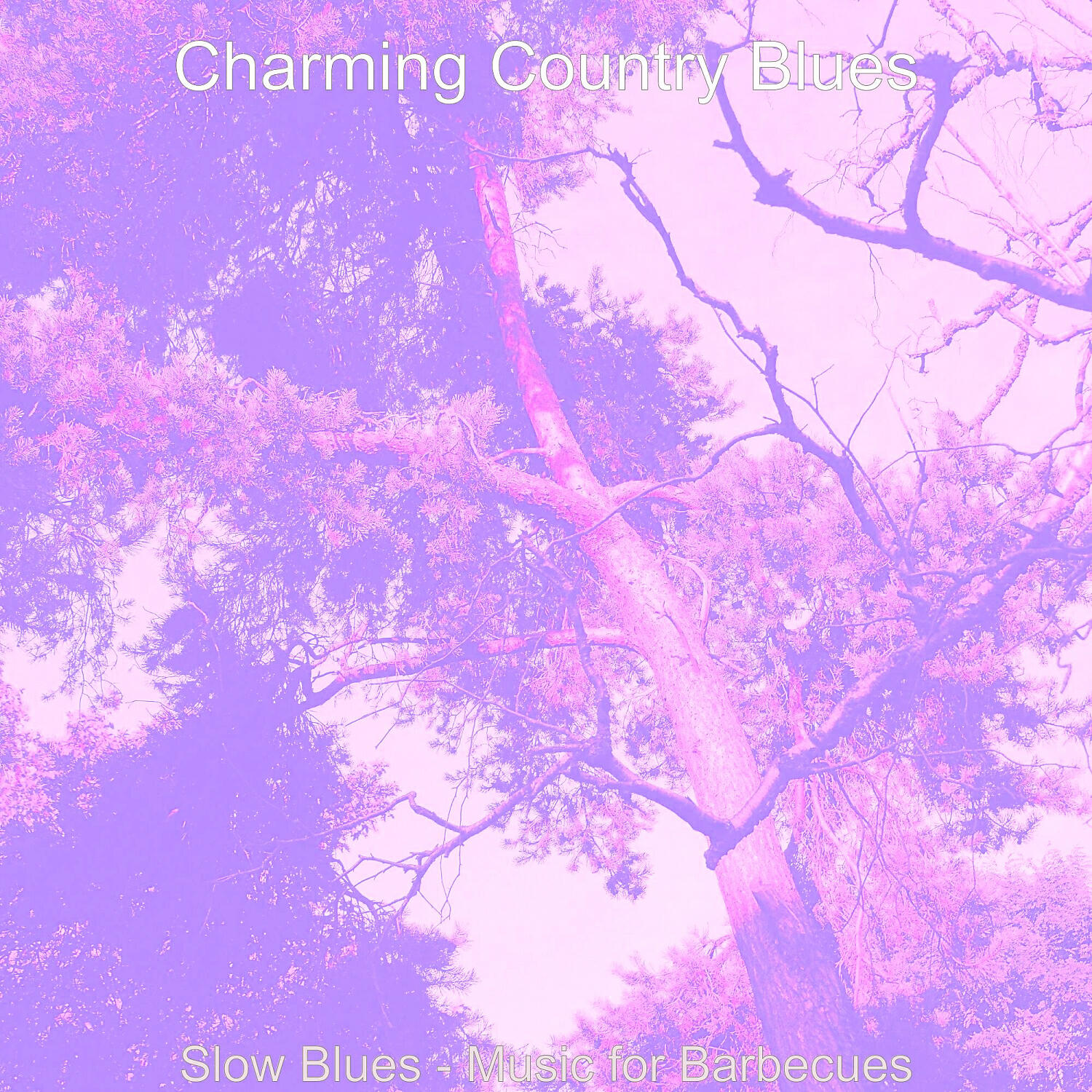 Релиз Slow Blues - Music for Barbecues