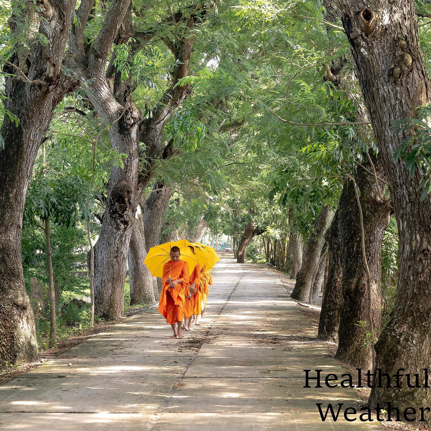 Релиз Healthful Weather