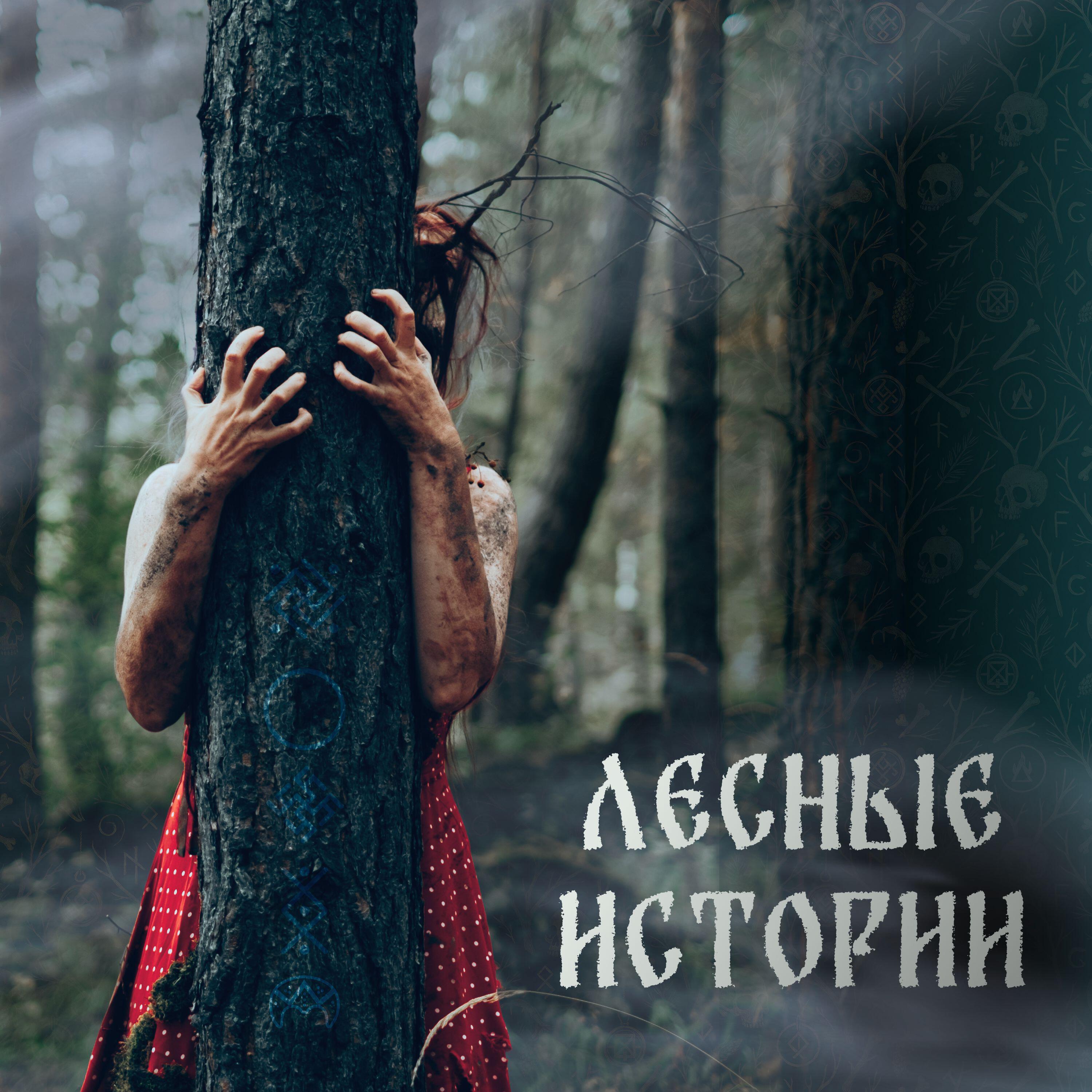 Релиз Лесные истории