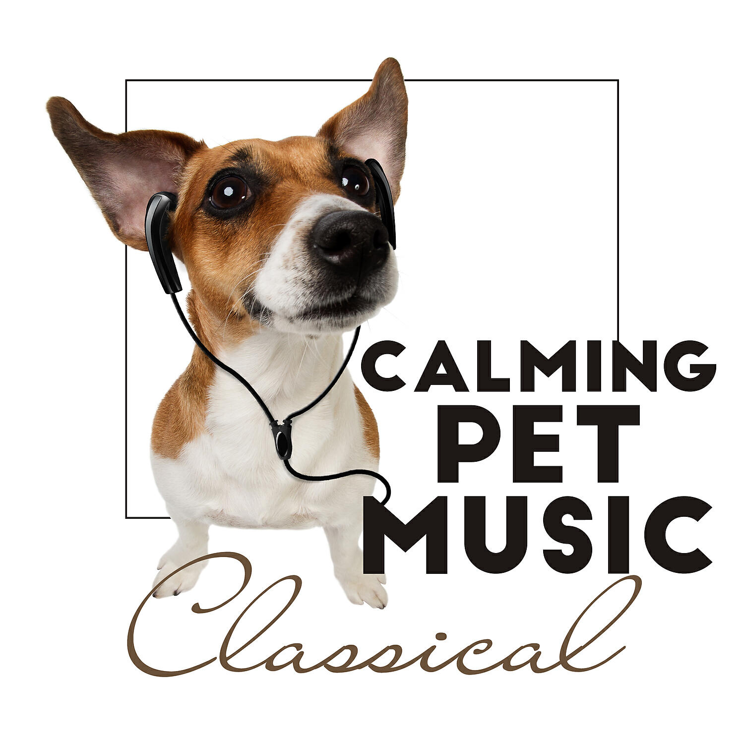 Релиз Calming Pet Music: Classical Piano Music for Dogs, Cats and Others Pupils