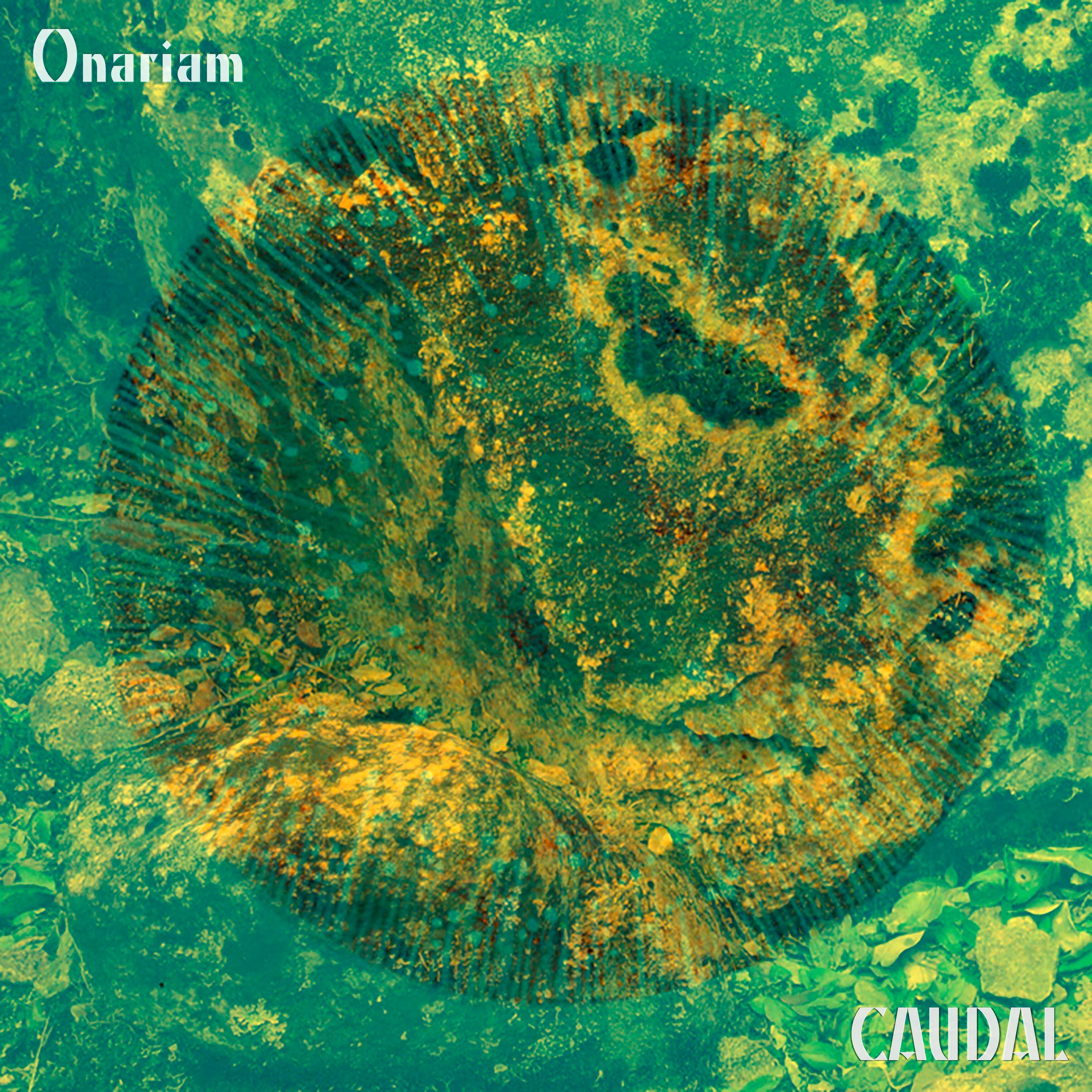 Релиз Caudal