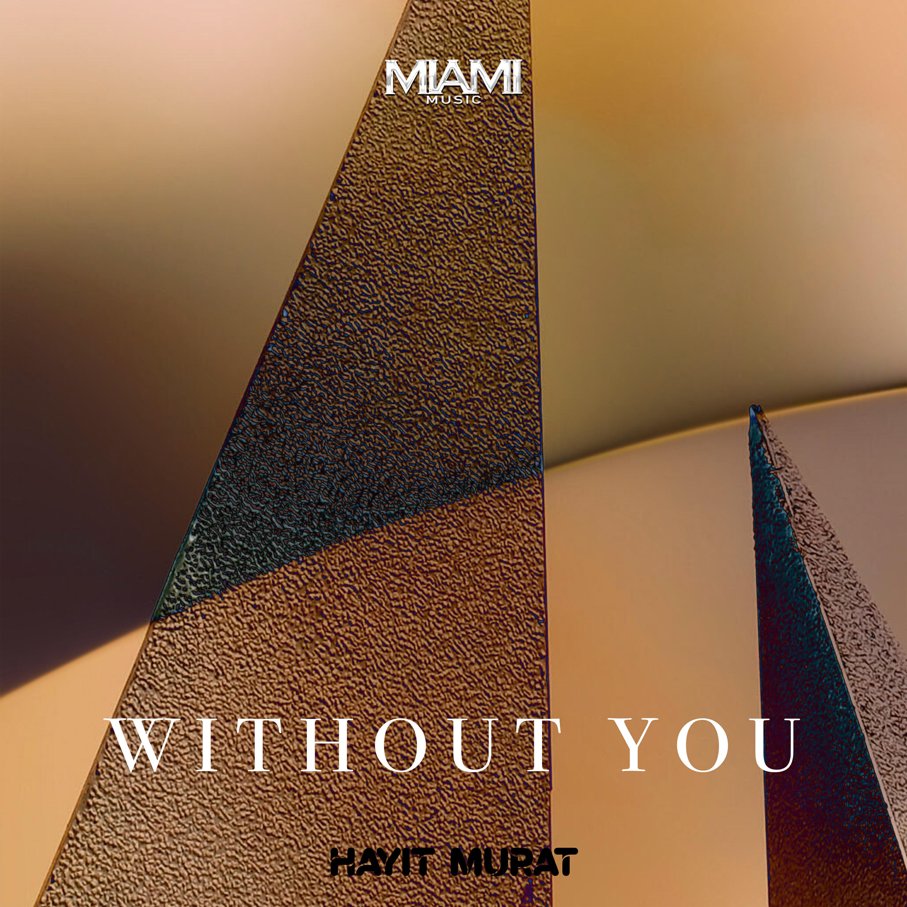 Релиз Without You