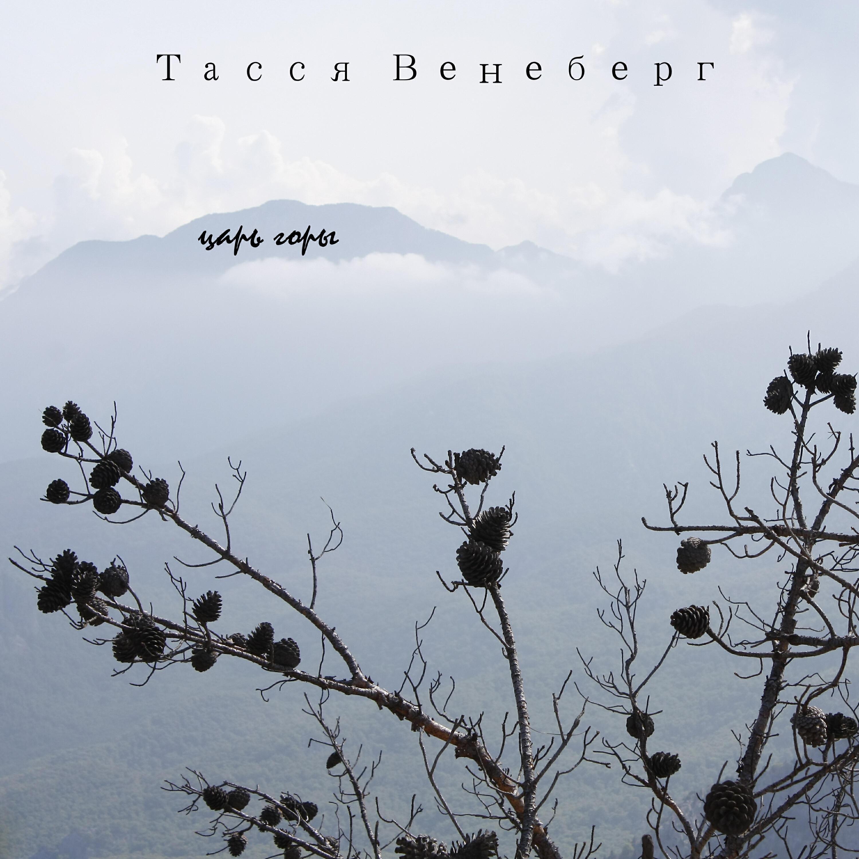 Тасся Венеберг