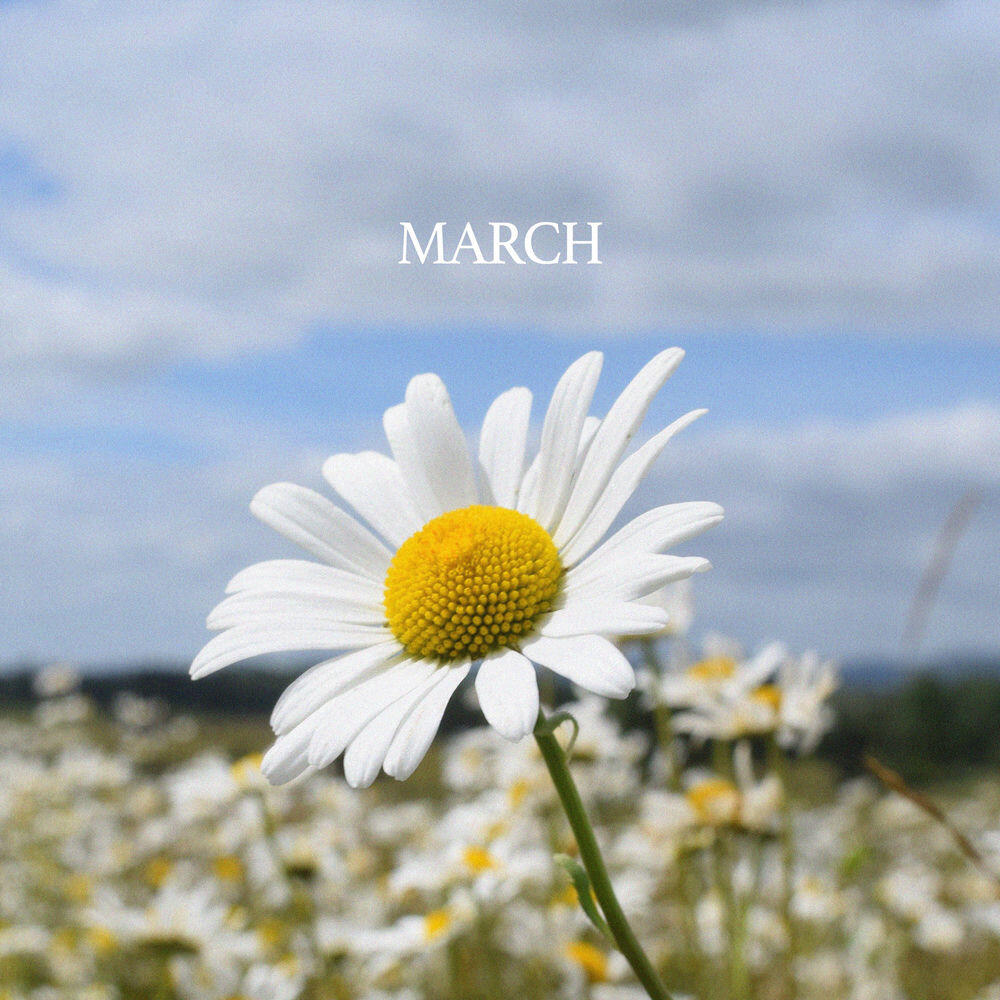Релиз March