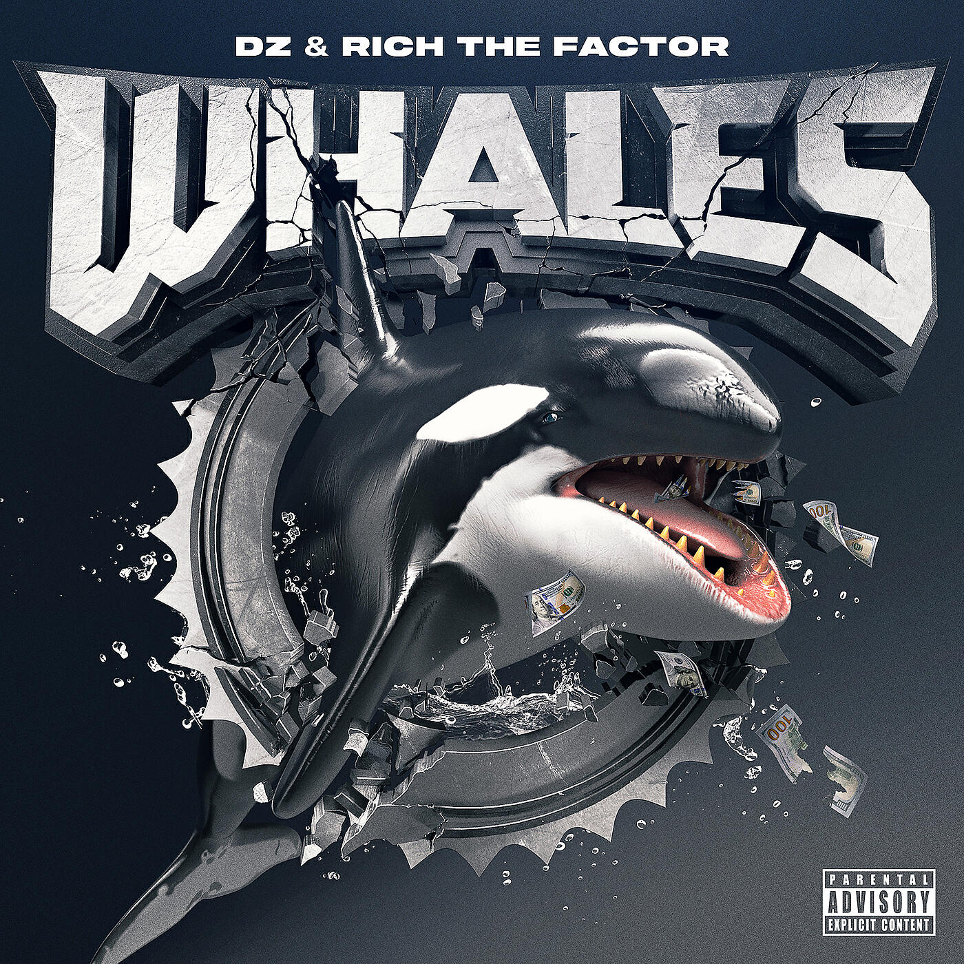 Релиз Whales