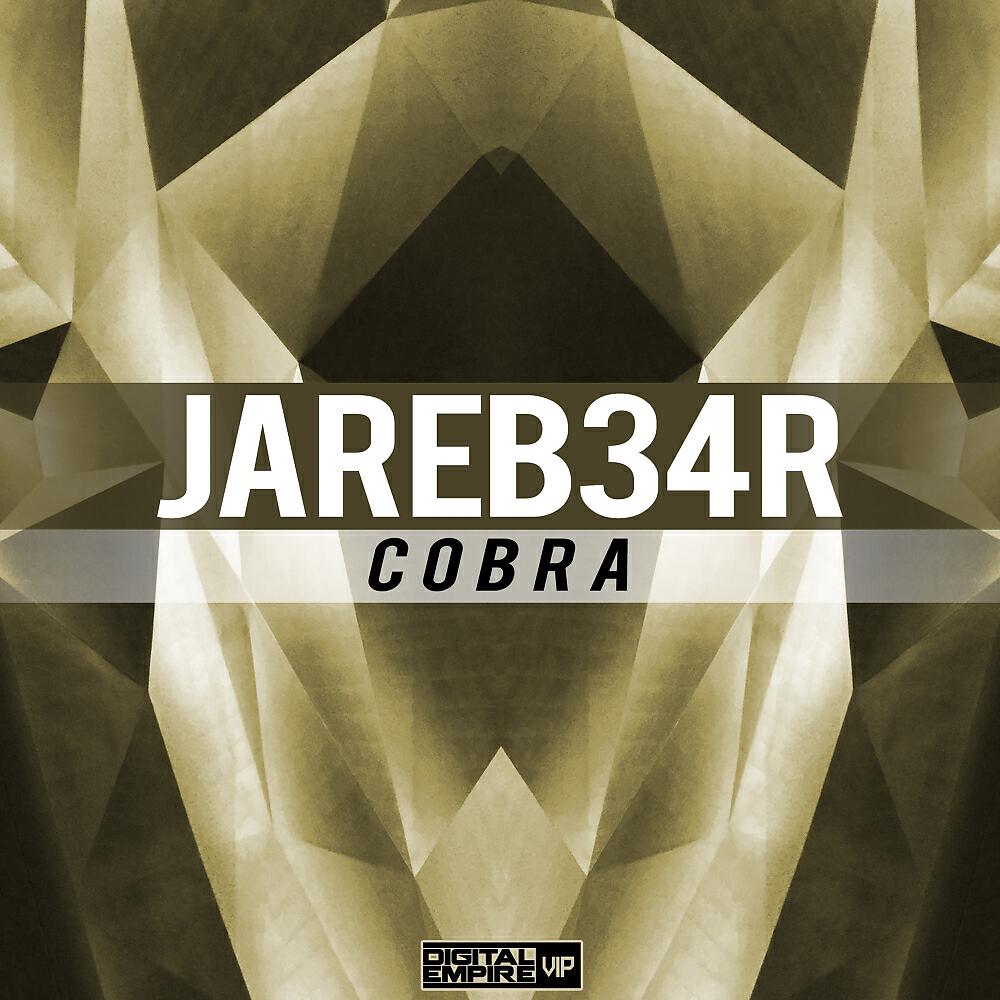 Релиз COBRA
