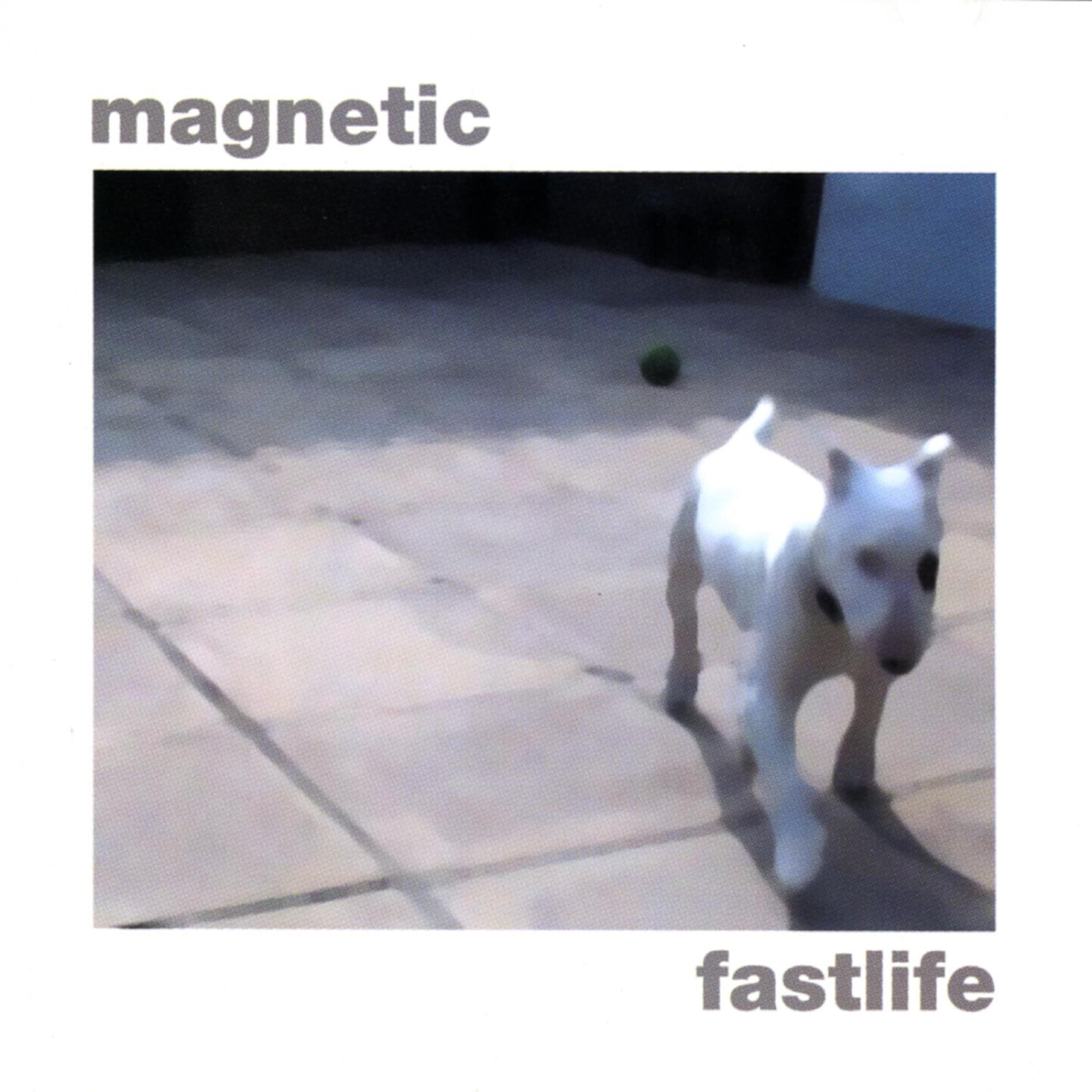 Релиз Fast Life