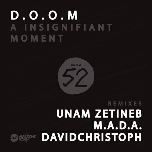 Релиз A Insignifiant Moment