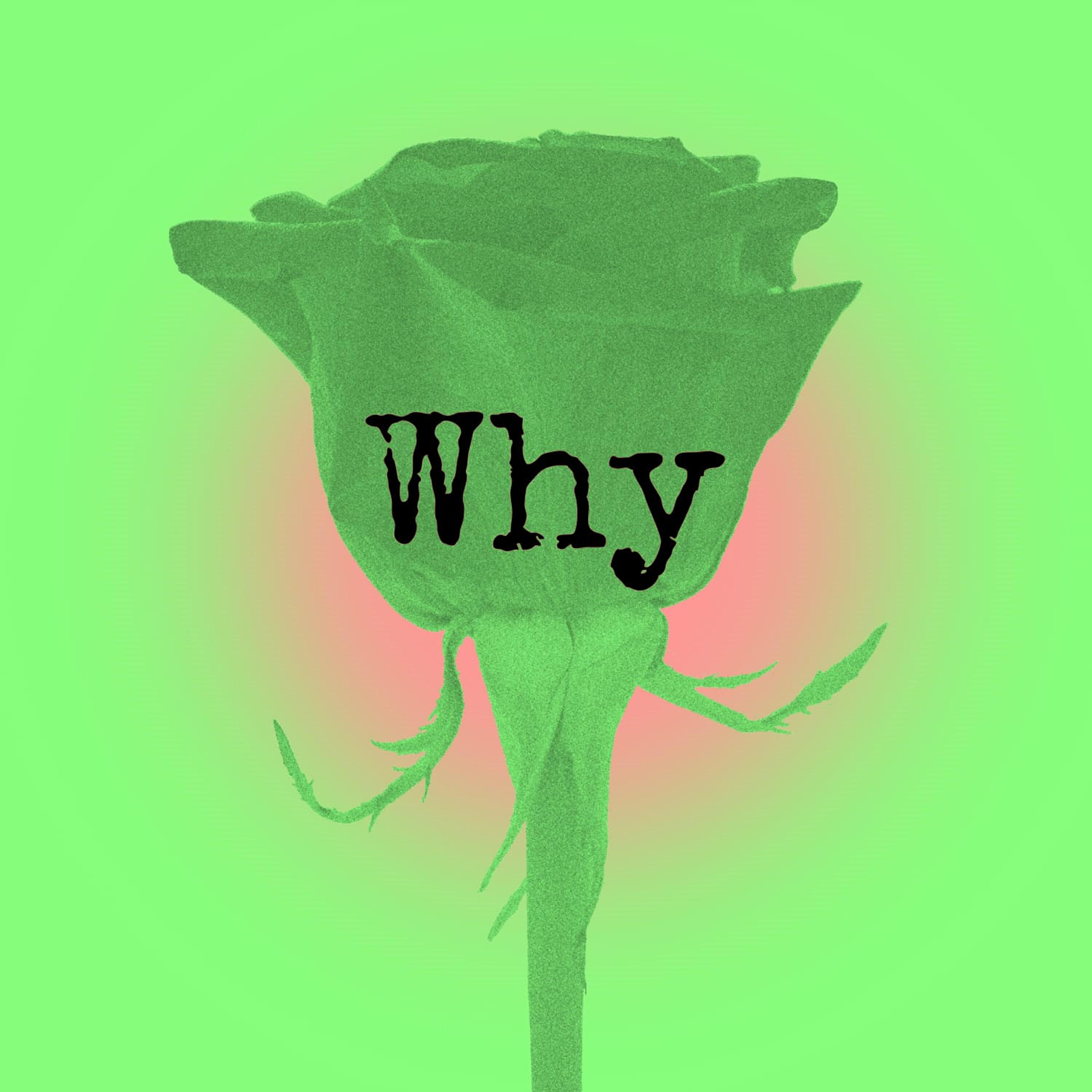 Релиз Why