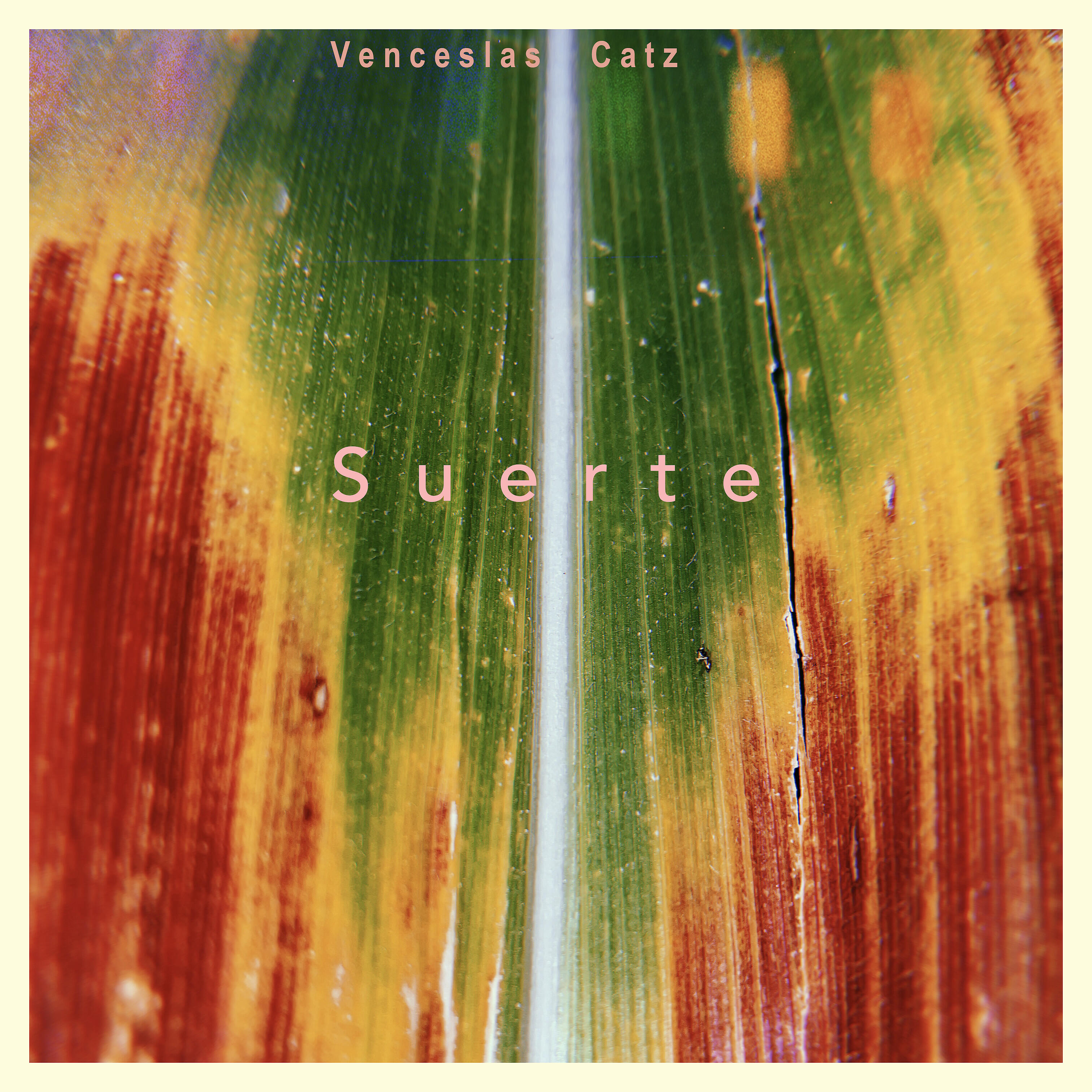 Релиз Suerte