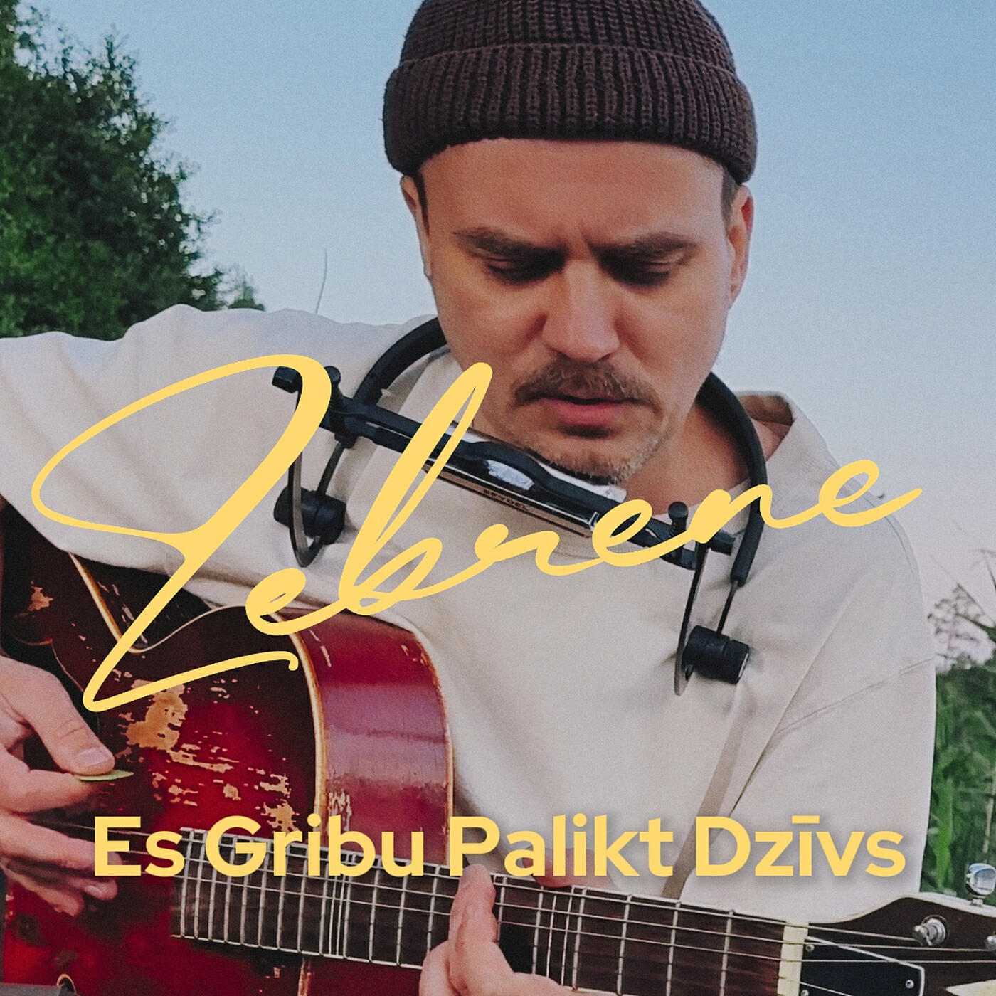 Релиз Es Gribu Palikt Dzīvs
