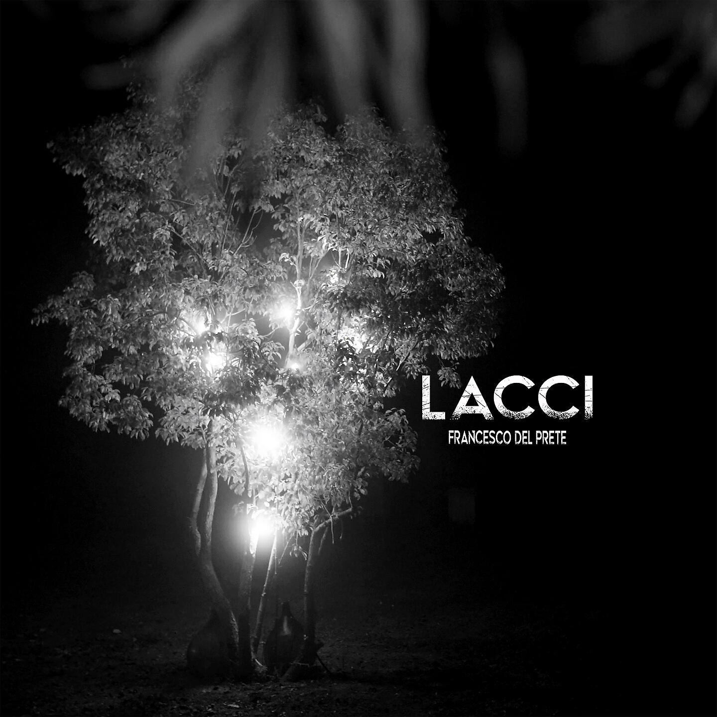 Релиз Lacci