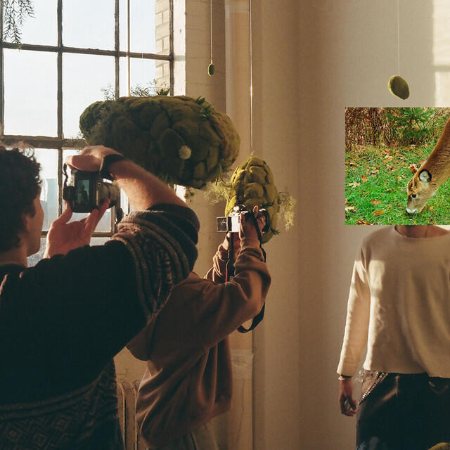 artistbasm
