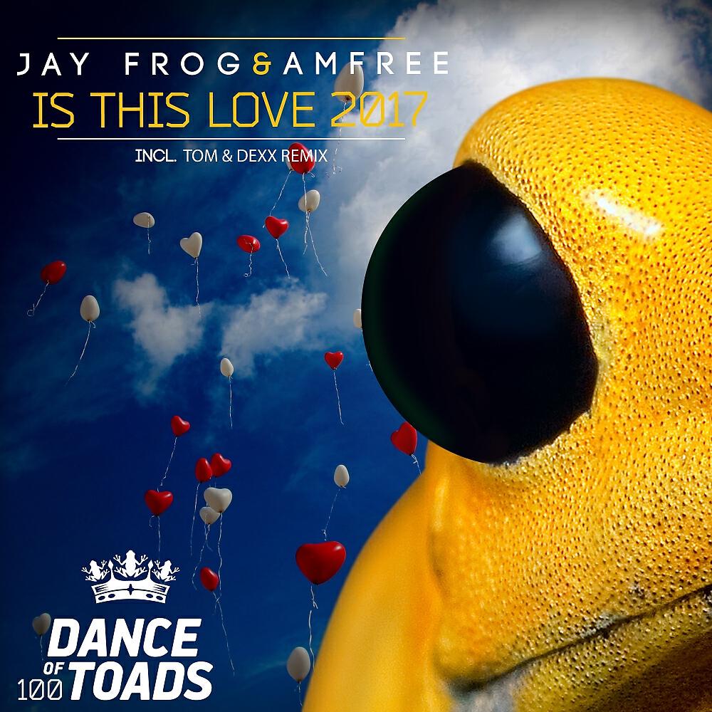 Релиз Is This Love 2017