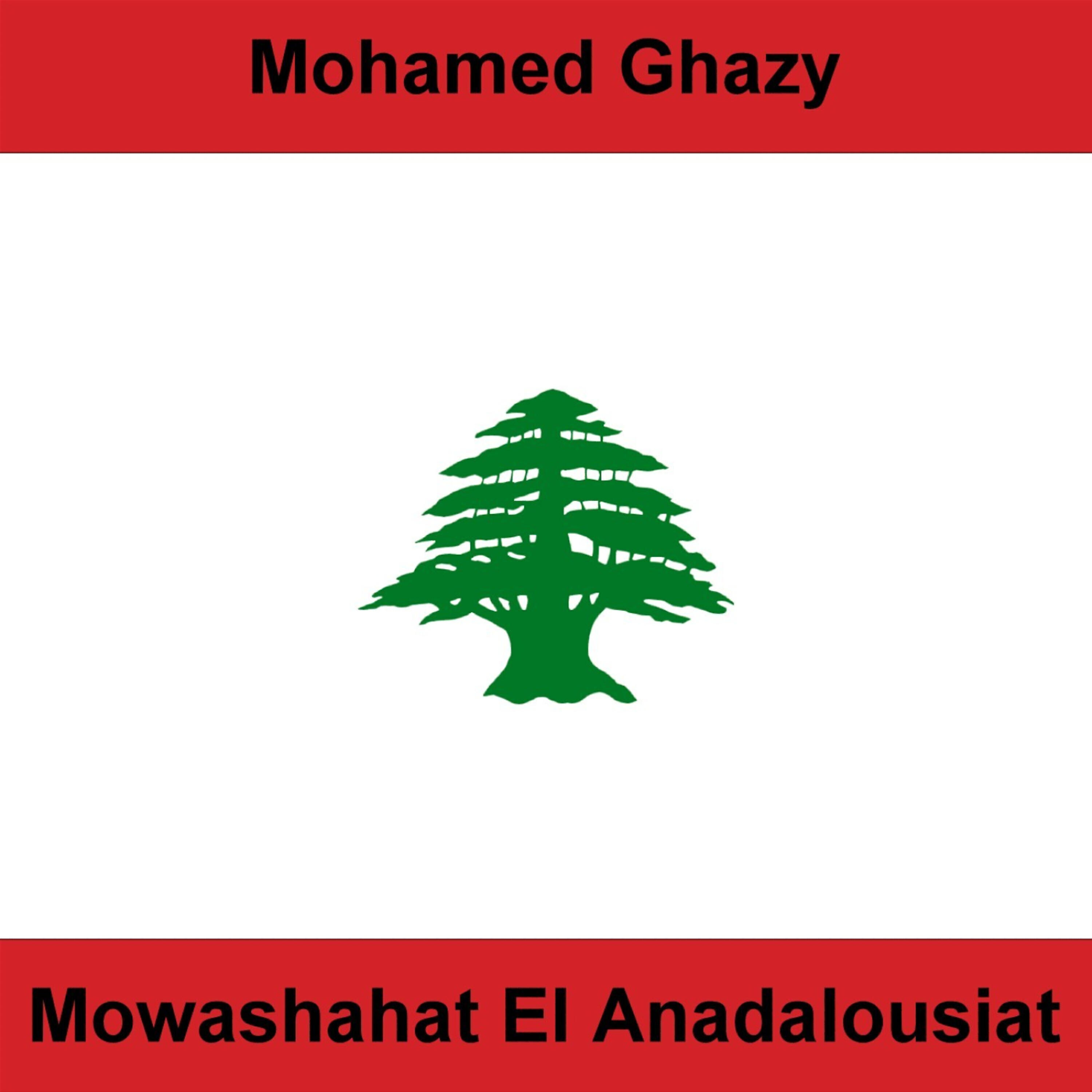 Mohamed Ghazy