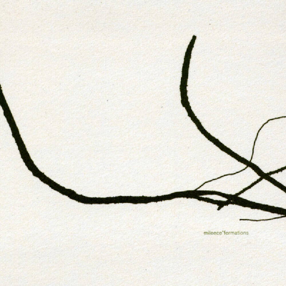 Релиз Formations