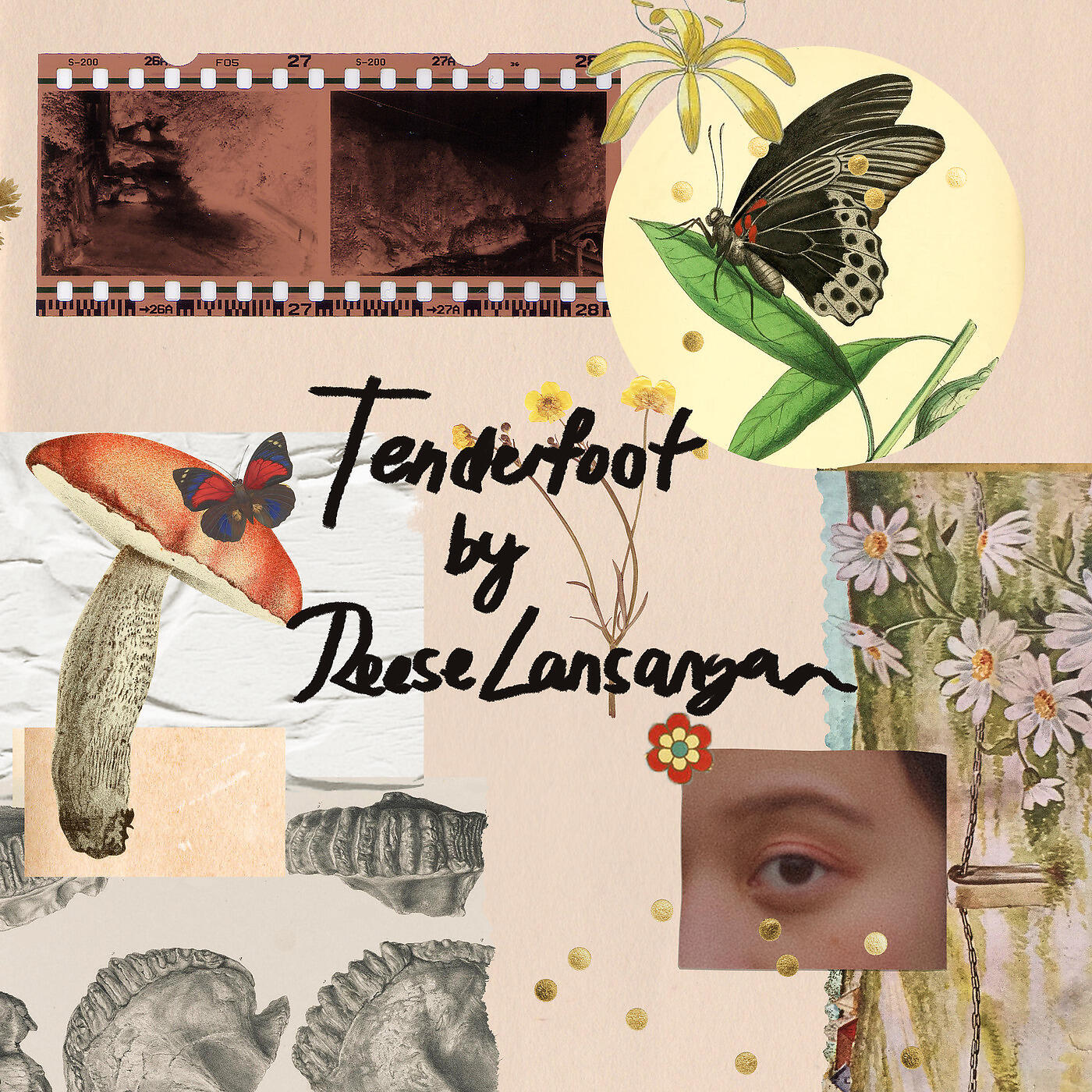 Релиз Tenderfoot