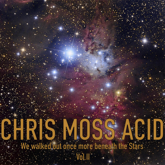 Релиз We Walked Out Once More Beneath the Stars, Vol. 2