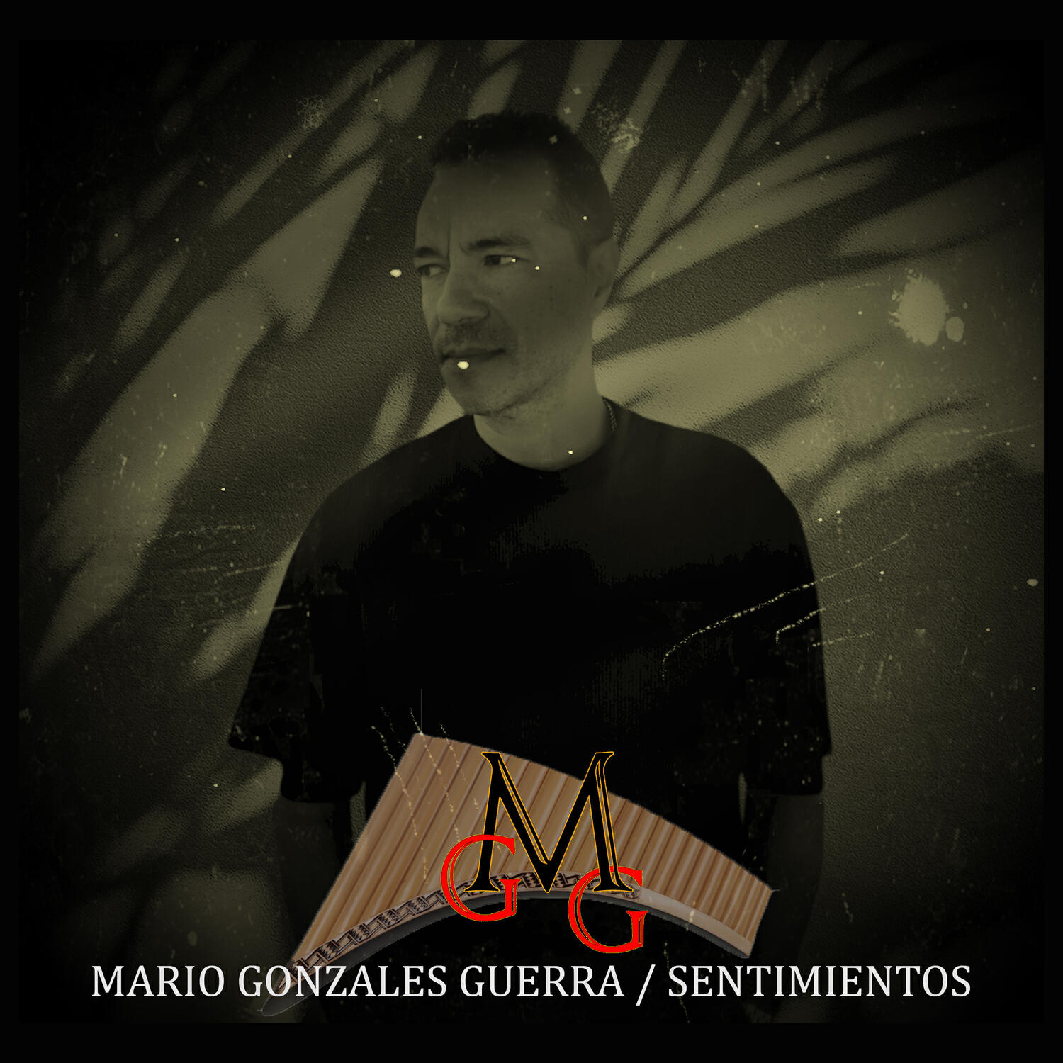 Релиз Sentimientos