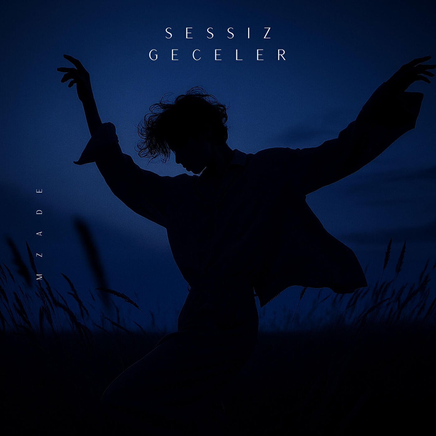 Постер альбома Sessiz Geceler