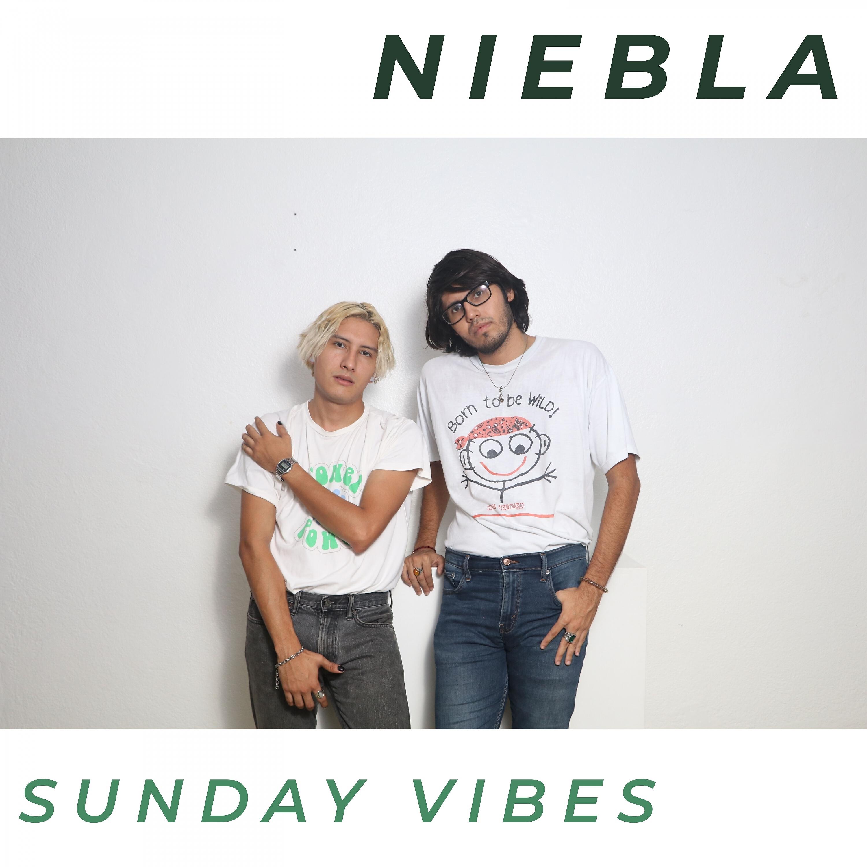 Релиз Niebla