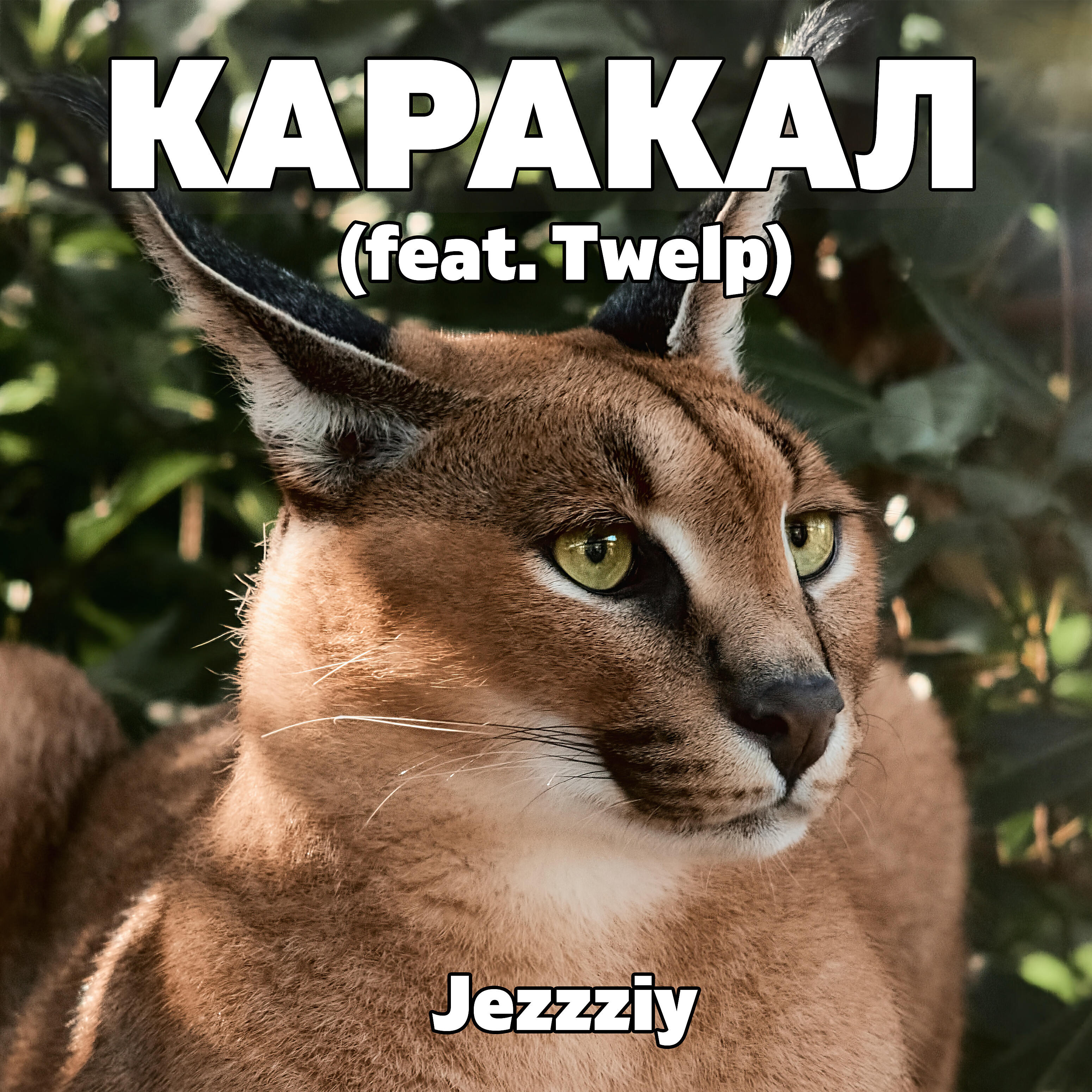 Релиз Каракал (feat. Twelp)