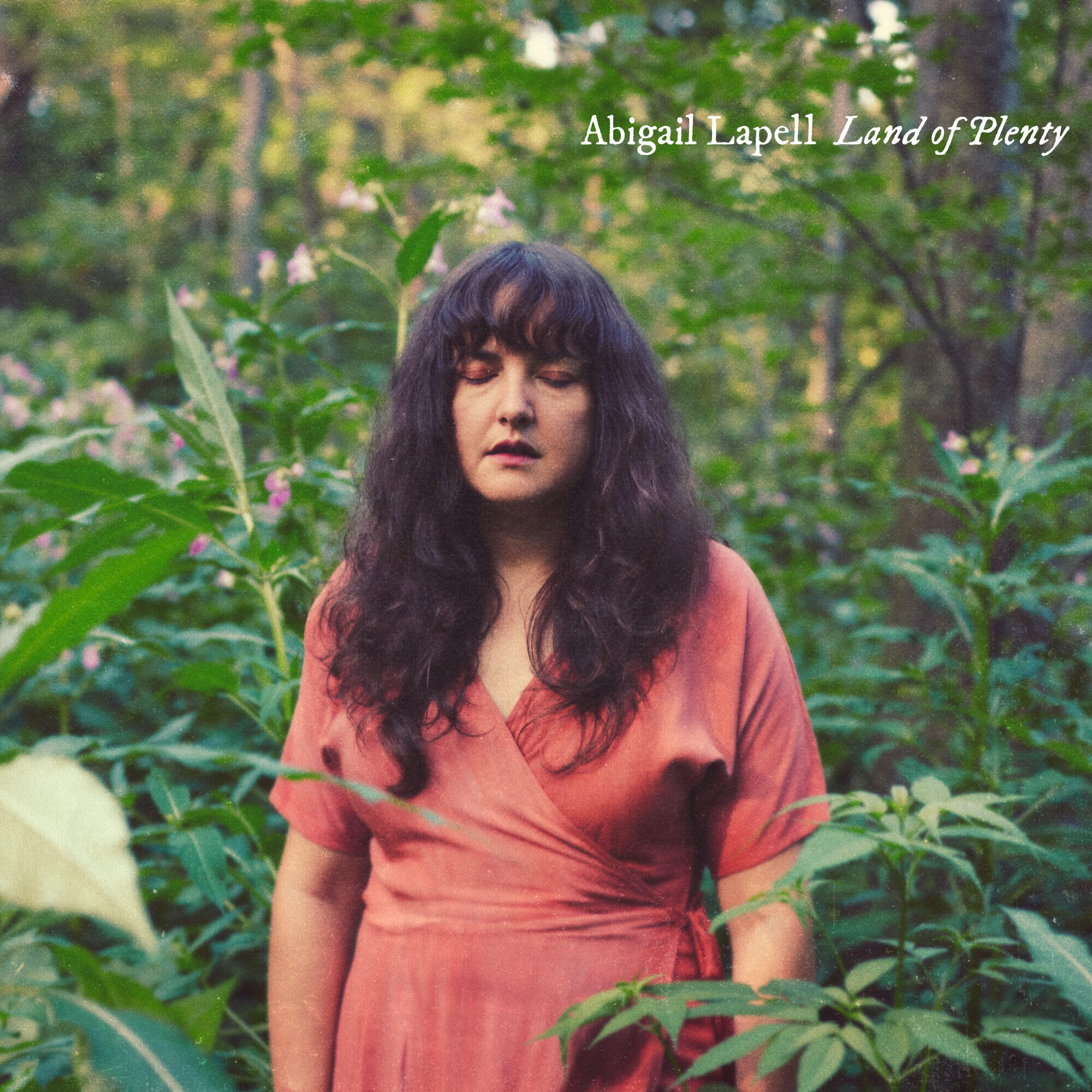 Релиз Land of Plenty