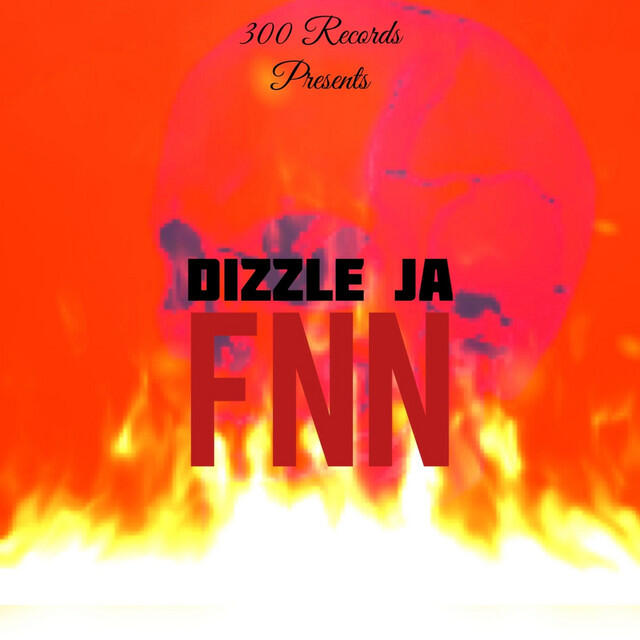 Релиз FNN